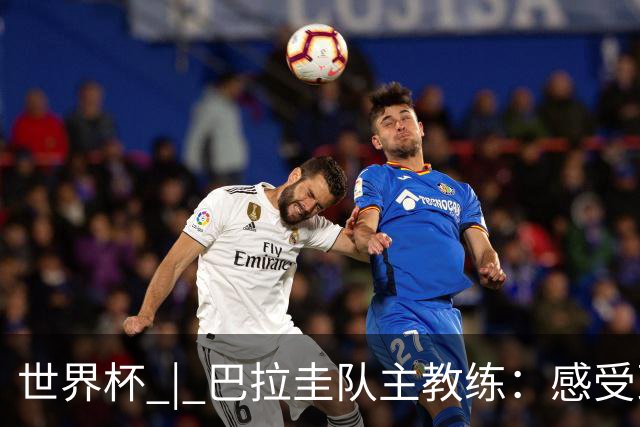 世界杯 | 巴拉圭队主教练：感受到比赛的极致压力