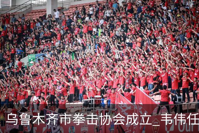 乌鲁木齐市拳击协会成立 韦伟任会长