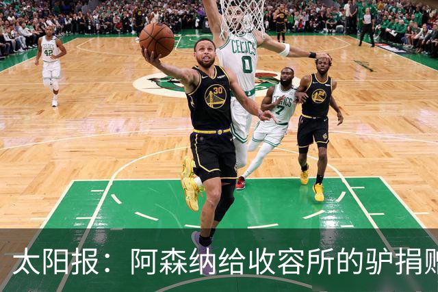 太阳报：阿森纳给收容所的驴捐赠40双球袜，保护它们腿部免受感染
