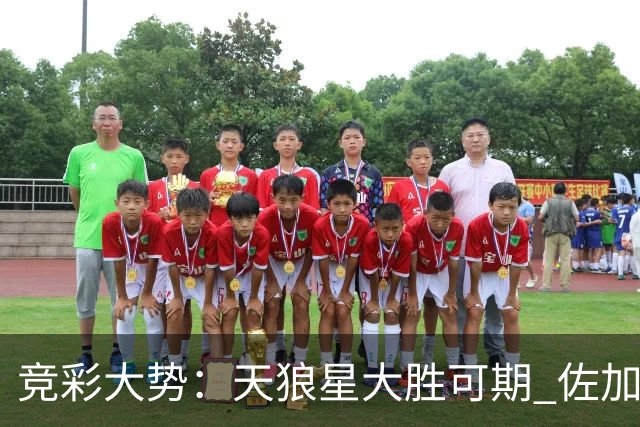 竞彩大势：天狼星大胜可期 佐加顿斯客场凯旋